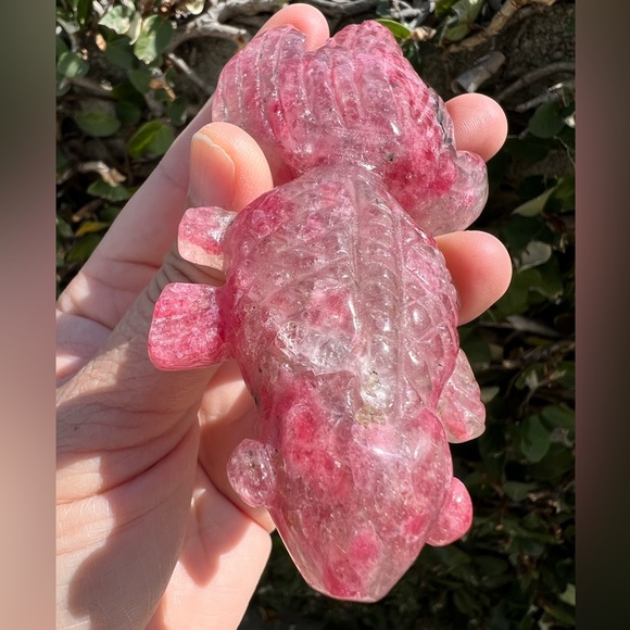 Rhodonite With Quartz Goldfish Carving - Picture 3 of 7